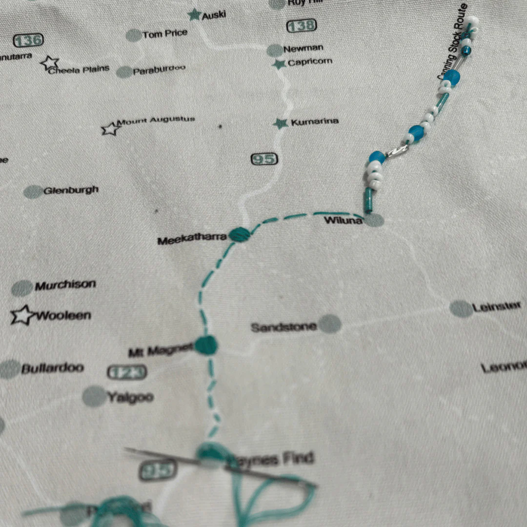 Map My Lap - Australia (Ecoluxe Travel Decor) - Image 5